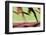 Runners Legs in Motion (Blurred Motion)-Peter Skinner-Framed Photographic Print