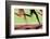 Runners Legs in Motion (Blurred Motion)-Peter Skinner-Framed Photographic Print