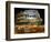 Runners Make Their Way Past the Colosseum in Rome-null-Framed Photographic Print