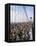 Runners, Marathon, New York, New York State, USA-Adam Woolfitt-Framed Premier Image Canvas