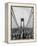 Runners, Marathon, New York, New York State, USA-Adam Woolfitt-Framed Premier Image Canvas