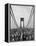 Runners, Marathon, New York, New York State, USA-Adam Woolfitt-Framed Premier Image Canvas