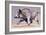 Running Boar, 1999-Mark Adlington-Framed Giclee Print