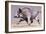 Running Boar, 1999-Mark Adlington-Framed Giclee Print