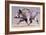 Running Boar, 1999-Mark Adlington-Framed Giclee Print