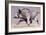 Running Boar, 1999-Mark Adlington-Framed Giclee Print