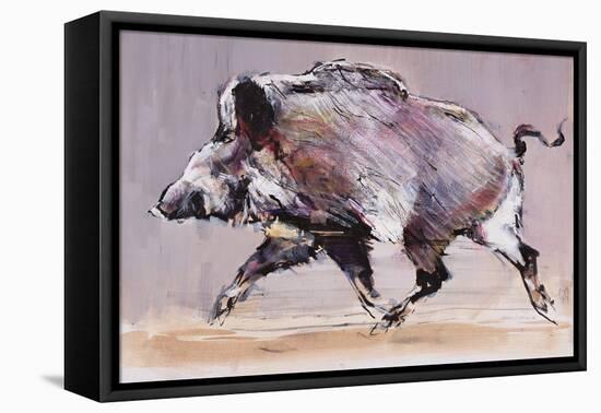 Running Boar, 1999-Mark Adlington-Framed Premier Image Canvas