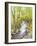 Running Brook-Joanne Porter-Framed Giclee Print