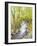 Running Brook-Joanne Porter-Framed Giclee Print