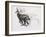 Running Chamois-Mark Adlington-Framed Giclee Print