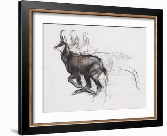 Running Chamois-Mark Adlington-Framed Giclee Print