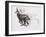 Running Chamois-Mark Adlington-Framed Giclee Print