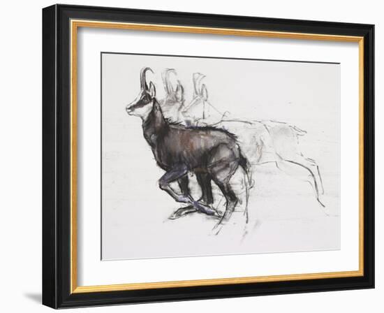 Running Chamois-Mark Adlington-Framed Giclee Print