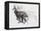 Running Chamois-Mark Adlington-Framed Premier Image Canvas