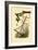 Running Crab Spider, 1833-39-null-Framed Giclee Print