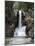 Running Eagle Falls, Glacier National Park, Montana, USA-Michel Hersen-Mounted Photographic Print