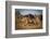 Running for His Life-Marc Meijlaers-Framed Photographic Print