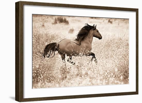 Running Free-Lisa Dearing-Framed Photographic Print