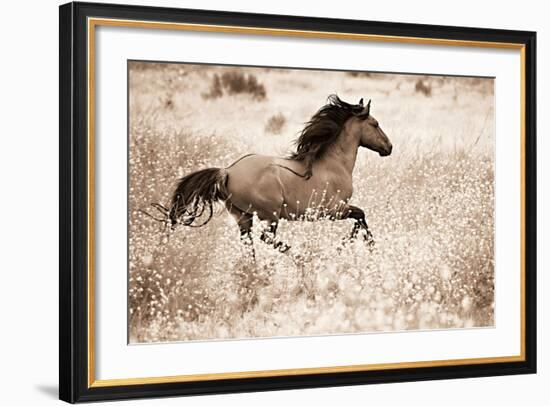 Running Free-Lisa Dearing-Framed Photographic Print