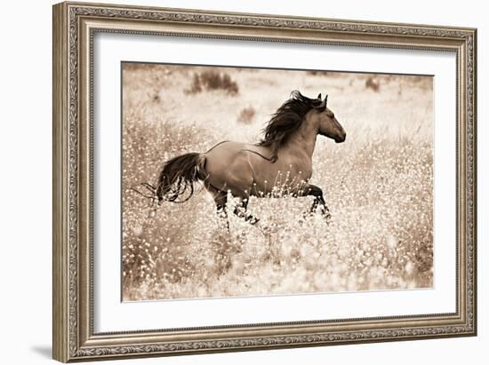 Running Free-Lisa Dearing-Framed Photographic Print