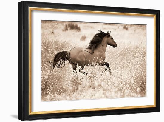 Running Free-Lisa Dearing-Framed Photographic Print