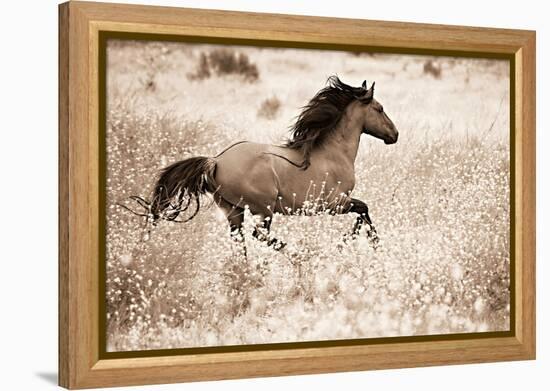 Running Free-Lisa Dearing-Framed Premier Image Canvas