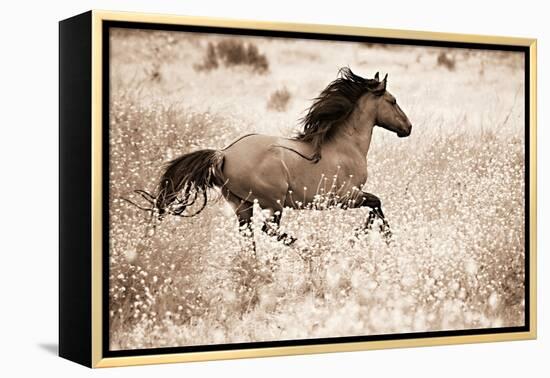 Running Free-Lisa Dearing-Framed Premier Image Canvas