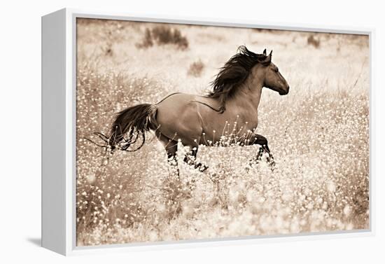 Running Free-Lisa Dearing-Framed Premier Image Canvas