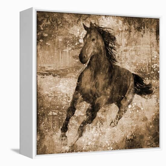 Running Free-Eric Yang-Framed Stretched Canvas