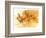 Running Gazelles, 2010-Mark Adlington-Framed Giclee Print