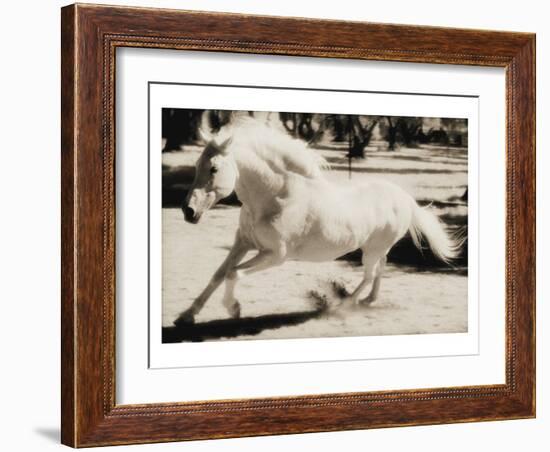 Running Horse-Theo Westenberger-Framed Art Print