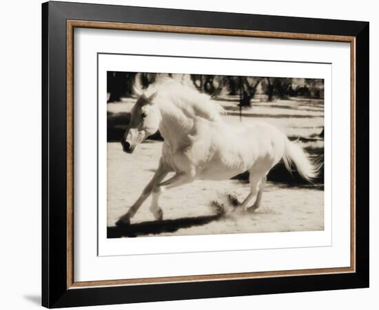 Running Horse-Theo Westenberger-Framed Art Print