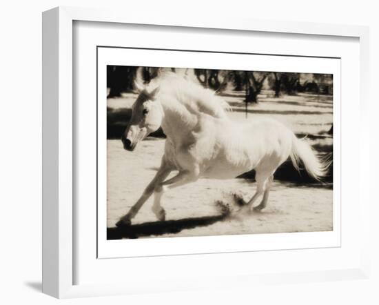 Running Horse-Theo Westenberger-Framed Art Print