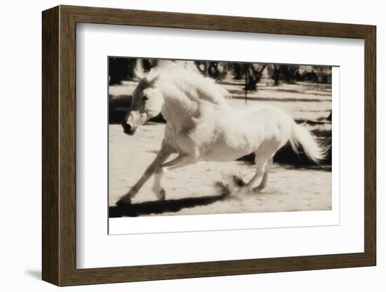 Running Horse-Theo Westenberger-Framed Photographic Print