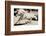 Running Horse-Theo Westenberger-Framed Photographic Print