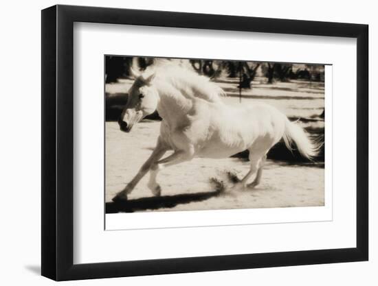 Running Horse-Theo Westenberger-Framed Photographic Print