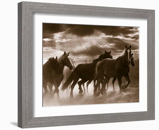 Running Horses And Sunbeams, Rothbury, Michigan-Monte Nagler-Framed Photographic Print