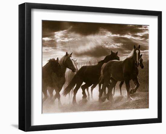 Running Horses And Sunbeams, Rothbury, Michigan-Monte Nagler-Framed Photographic Print