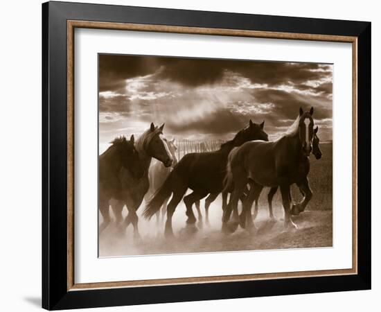 Running Horses And Sunbeams, Rothbury, Michigan-Monte Nagler-Framed Photographic Print