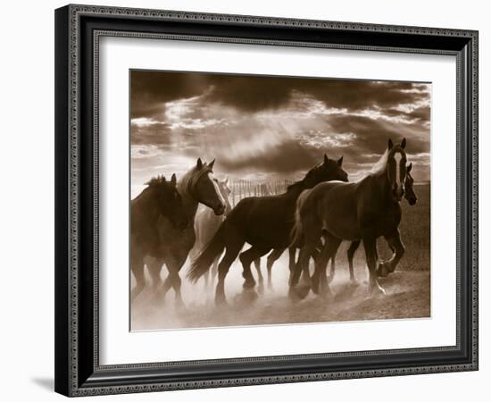 Running Horses And Sunbeams, Rothbury, Michigan-Monte Nagler-Framed Photographic Print