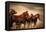 Running Horses, Blur and Flying Manes-Sheila Haddad-Framed Premier Image Canvas