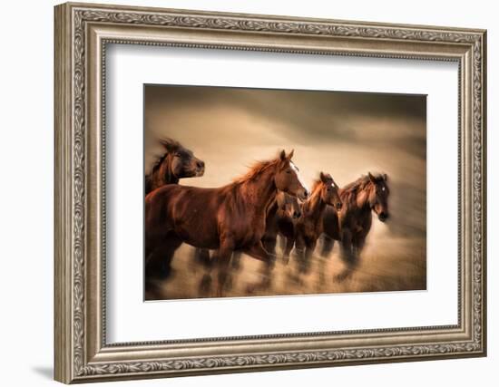 Running Horses, Blur and Flying Manes-Sheila Haddad-Framed Photographic Print