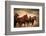 Running Horses, Blur and Flying Manes-Sheila Haddad-Framed Photographic Print