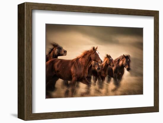 Running Horses, Blur and Flying Manes-Sheila Haddad-Framed Photographic Print