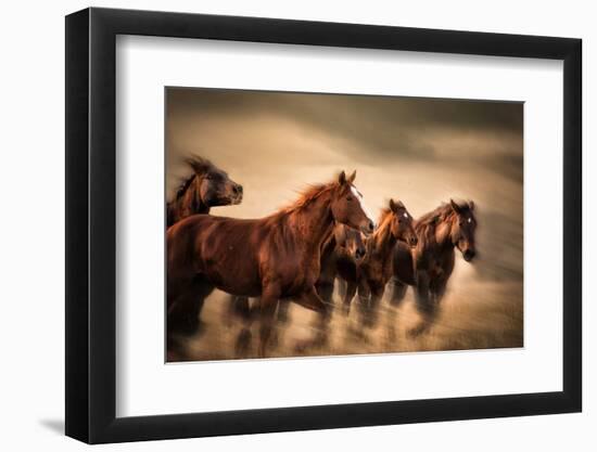 Running Horses, Blur and Flying Manes-Sheila Haddad-Framed Photographic Print