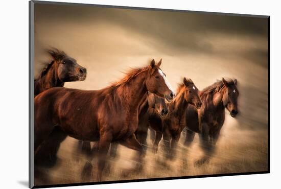 Running Horses, Blur and Flying Manes-Sheila Haddad-Mounted Photographic Print