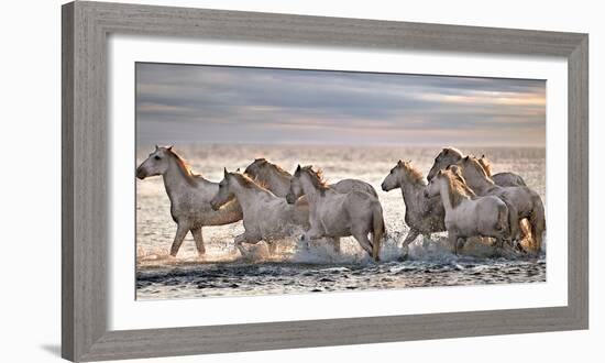 Running Horses-Xavier Ortega-Framed Photographic Print