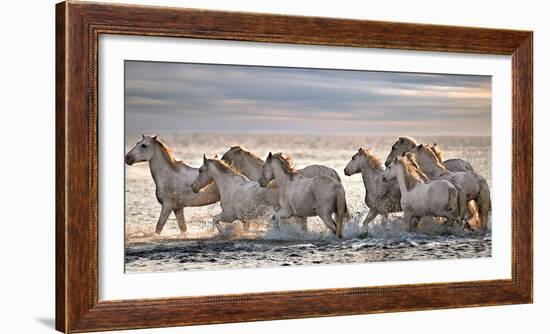 Running Horses-Xavier Ortega-Framed Photographic Print