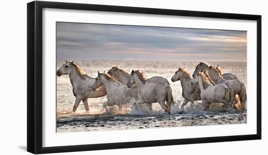 Running Horses-Xavier Ortega-Framed Photographic Print