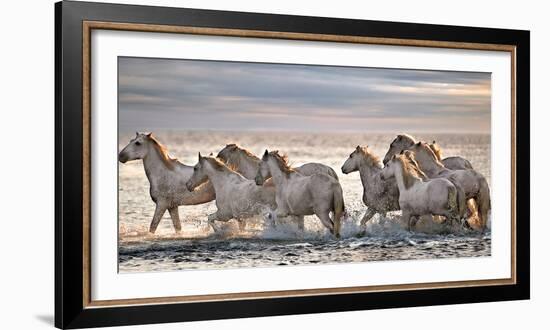 Running Horses-Xavier Ortega-Framed Photographic Print